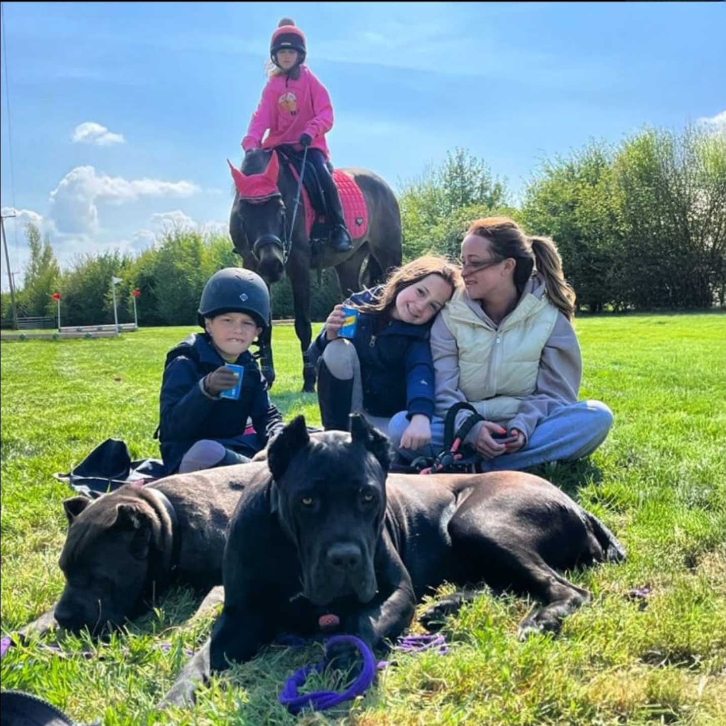 Our International Protection Dog Service